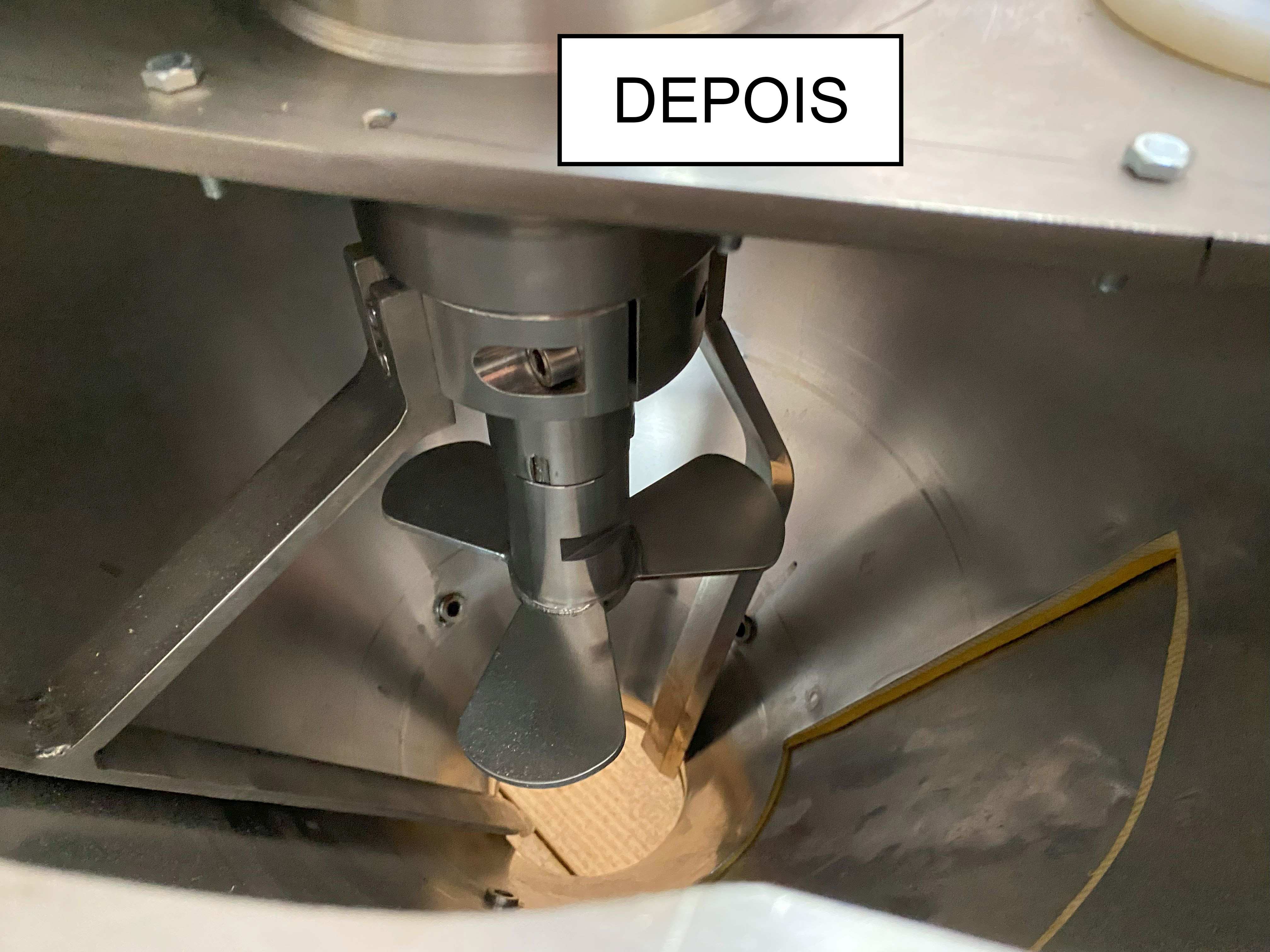 DEPOIS 11.jpg